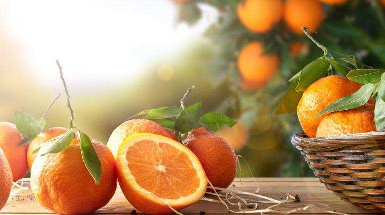 Weight loss tips: जानिए वजन कम करने के लिए संतरे के गजब के फायदों के बारे में
