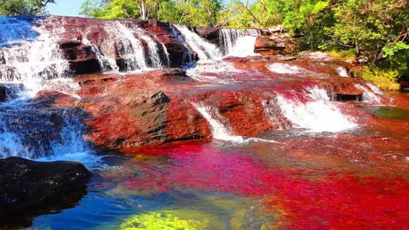 धरती की इस अनोखी नदी में बहता है एक साथ पांच रंगो का पनी, एक बार देखते ही हो जाता है हर कोई दीवाना