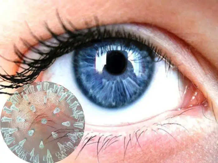 Corona Omicron Health Tips: क्या आप जानते है आंखों से भी हो सकता है Corona Infection, जानें क्या है इसकी बडी वजह