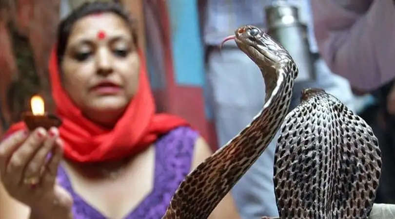 भारत में मौजूद एक ऐसा गांव जहाँ हर परिवार पालता है जहरीला कोबरा साँप