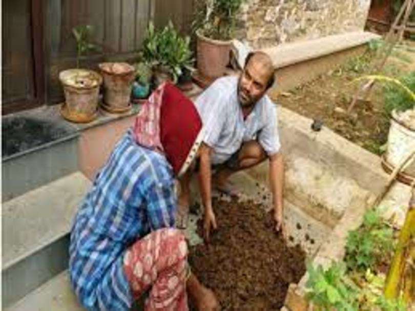 ये पति-पत्नी है कमाल के इंजीनियर, पीते हैं बारिश का पानी और घर में ही उगाते हैं देशी सब्जी