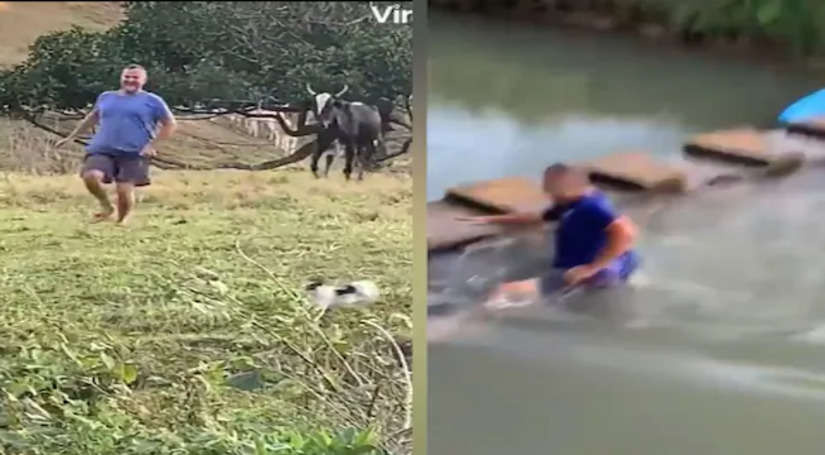 शख्स के पीछे पद गई दौड़ती गाय तो बचने के लिए ऐसा जोरदार भागा की तालाब में गिरा जाकर, वीडियो देख हंस हंसकर लोटपोट हो जाएंगे