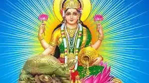 पैसे की तंगी बनी रहती है तो घर में लाएं यह 7 चीजें, मिलेगी देवी लक्ष्मी की कृपा