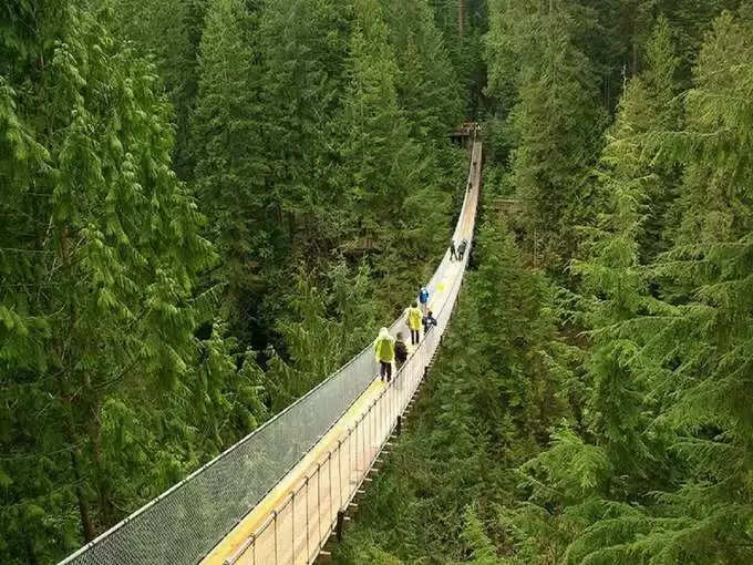 ये हैं दुनिया के सबसे खतरनाक ब्रिज, जिसे देखते ही छूट जाते है लोगों के पसीने, कम ही लोग कर पाते है इसे पार करने की हिम्मत?