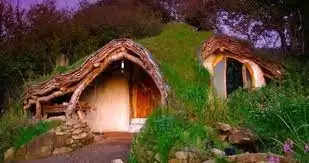इस युवक ने जमीन खोदकर नीचे बना दिया अपने Dream House, क्या है इस Hobbit Home की खासियत