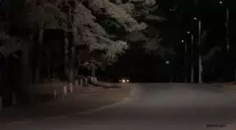 सरकारी गाडी में चल रही थी सडक किनारे रंगीन रात, लोंगों ने कर दिया वीडियो वायरल