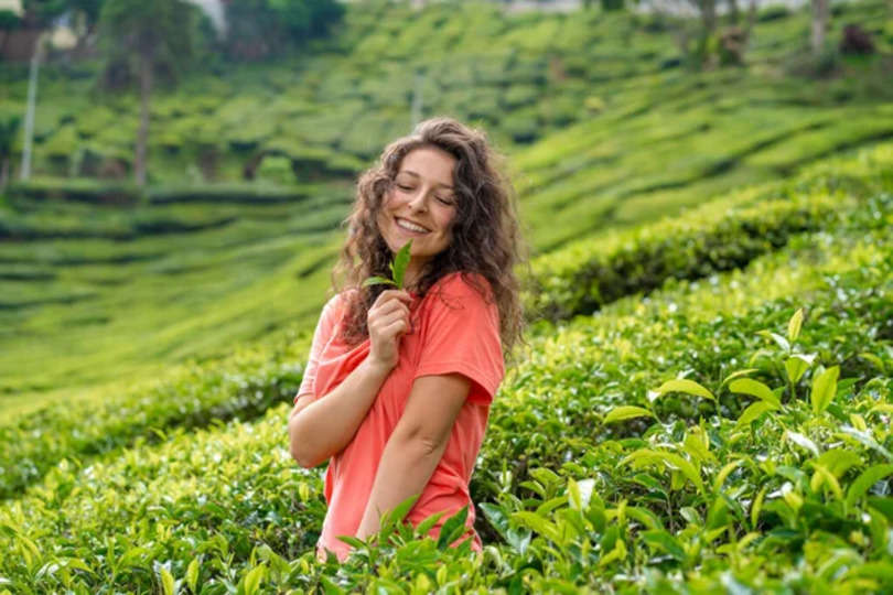 प्रकृति की खूबसूरती का नजदीक से करना है दीदार तो भारत के इन चाय के बागानों की जरूर करें सैर