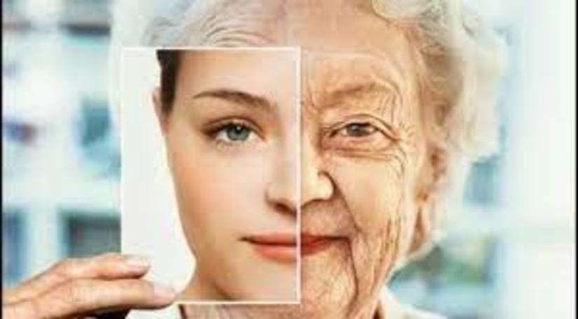 बूढ़े भी फिर से हो जाएंगे जवान, वैज्ञानिकों को मिली 'उम्र पलटने' में सफलता