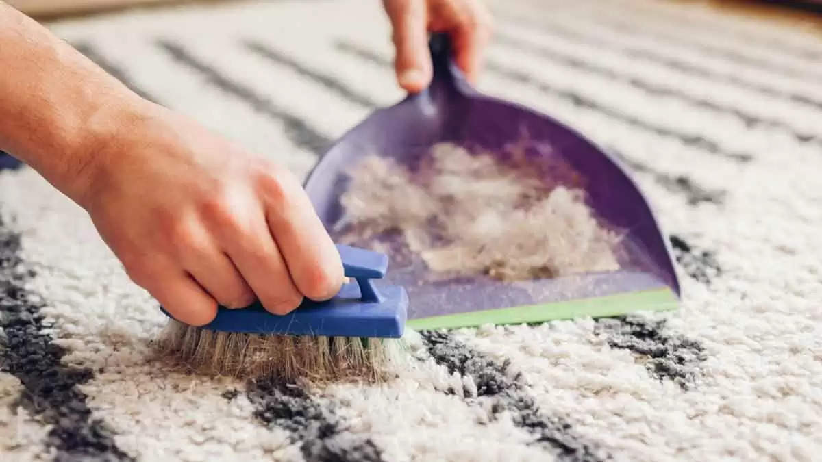 घर के कार्पेट पर लगे आपके पालतू के बालों को इन आसान टिप्स से करें साफ