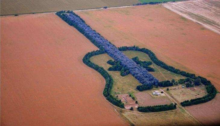 70 साल के किसान ने बीवी की याद में उगा दिया गिटार के आकार का जंगल, देखकर रह जाएंगे हैरान
