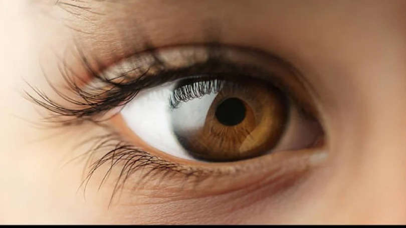 जानिए आखिर क्यों होती हैं लोगों की आंखें नीली, हरी, भूरी या काली, क्या है इसका साइंटिफिक कारण