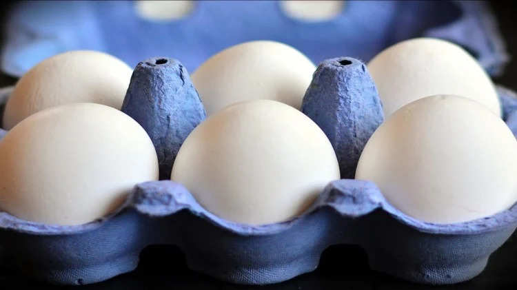 अंडा शाकाहारी है या मांसाहारी? वैज्ञानिकों ने खोजा अब सही जवाब, हो सकते हैं जानकर हैरान