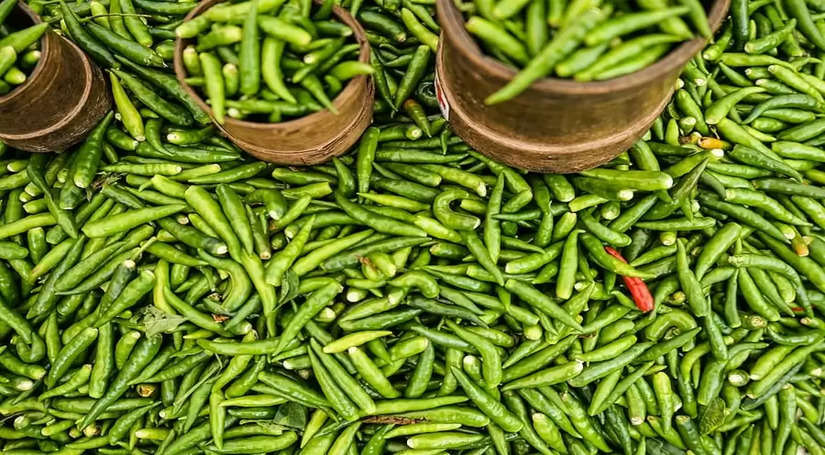हरी मिर्च (Green Chilies) को अपने डाइट में शामिल करना आपके स्वास्थ के लिए लाभदायक; जानिए इसका सेवन करने के फायदे