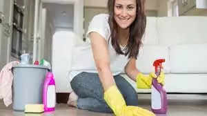 40 लाख की नौकरी छोड़ महिला बन गई ‘काम वाली बाई’, कहा साफ-सफाई करने में खुशी मिलती है
