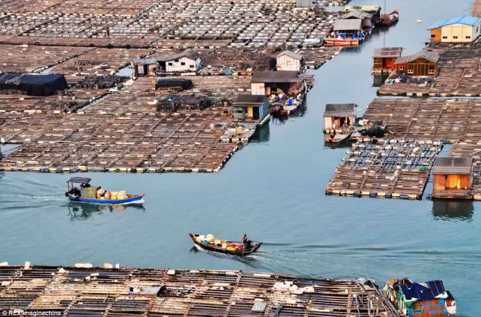 समंदर की सतह पर बसा है ये Floating Village तैरती बस्ती में रहते हैं हजारों लोग 